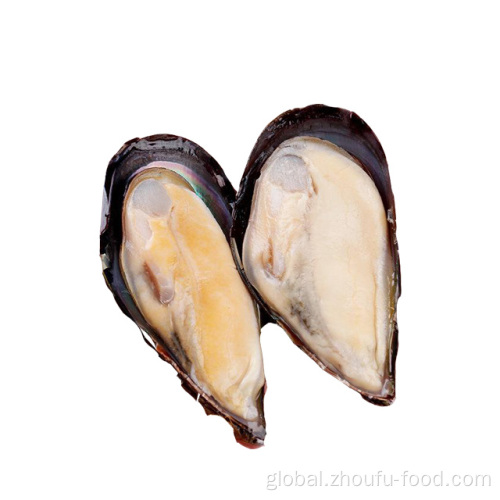 Cooked Frozen Clams In Shell New Coming Shellfish Frozen Half Shell Mussel Factory